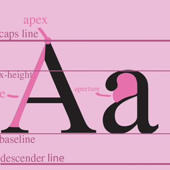 typography project